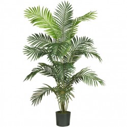 6' Paradise Palm